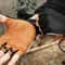 Premium Half Finger Cycling Gloves For Men Women 4