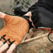Premium Half Finger Cycling Gloves For Men Women 4