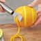 Stainless Steel Lemon Zester & Citrus Peeler Premium Zest Grater Kitchen Tool