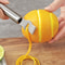 Stainless Steel Lemon Zester & Citrus Peeler Premium Zest Grater Kitchen Tool