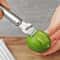 Stainless Steel Lemon Zester & Citrus Peeler Premium Zest Grater Kitchen Tool