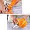 Premium Stainless Double Sided Vegetable Peeler Multi Functional Grater 2