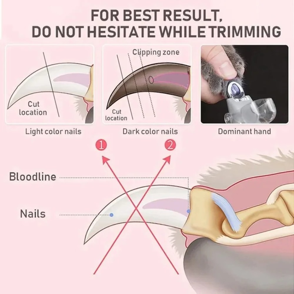 Dog Nail Clipper With LED Light Safe Grooming For Small Breeds 4