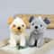 Cute Wolf Plush Keychain Soft Dog Pendant For Backpack Gifts 3