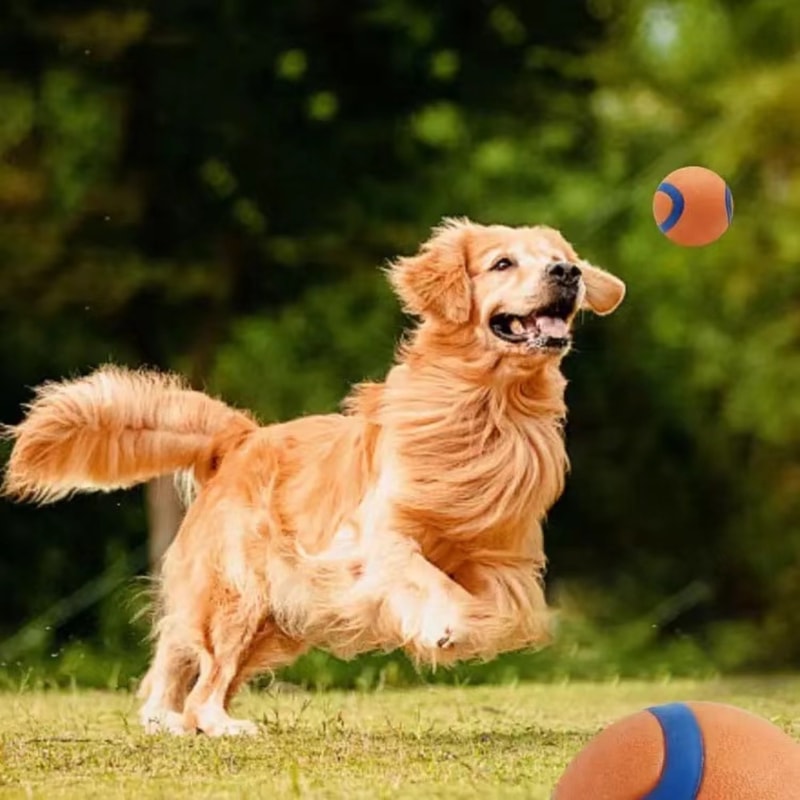 Premium Durable Dog Ball Toy Chew Resistant Fetch Elastic Bouncy Play Ball For Small Large Dogs 1