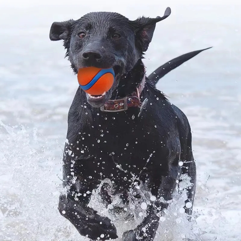 Premium Durable Dog Ball Toy Chew Resistant Fetch Elastic Bouncy Play Ball For Small Large Dogs 4