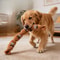 Durable Squeaky Dog Chew Toy Teeth Cleaning Puppy Molar Toy