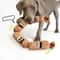 Durable Squeaky Dog Chew Toy Teeth Cleaning Puppy Molar Toy