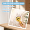 Ultimate Dog Hair Remover Grooming Brush & Self Cleaning Pet Grooming Comb for Long & Short Coats