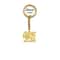 Persian Lion Sun Keychain Stainless Steel Iran Flag Keyring 5