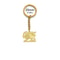 Persian Lion Sun Keychain Stainless Steel Iran Flag Keyring 5