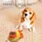 Duck Treat Dispenser Interactive Dog Toy and Slow Feeder