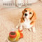 Duck Treat Dispenser Interactive Dog Toy and Slow Feeder