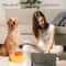 Duck Treat Dispenser Interactive Dog Toy and Slow Feeder