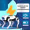 Electric Robot Dog Toy for Kids Science & Learning
