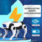 Electric Robot Dog Toy for Kids Science & Learning