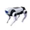 Electric Robot Dog Toy for Kids Science & Learning
