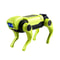 Electric Robot Dog Toy for Kids Science & Learning