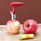 Premium Stainless Steel Apple Corer Fruit Cutter Sharp Durable 1