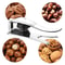 Premium Stainless Steel Chestnut Walnut Pliers Nutcracker Tool Chestnut Opener 4