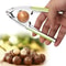 Premium Stainless Steel Nut Cracker Quick & Easy Walnut, Pecan & Hazelnut Plier Tool
