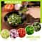 Premium Multi Layer Stainless Steel Kitchen Scissors Herb & Veggie Shredder Shears