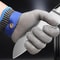 Stainless Steel Cut Resistant Gloves for Butcher, Kitchen & Garden Safety