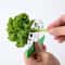 Stainless Steel Herb Stripper and Kale Leaf Remover Tool