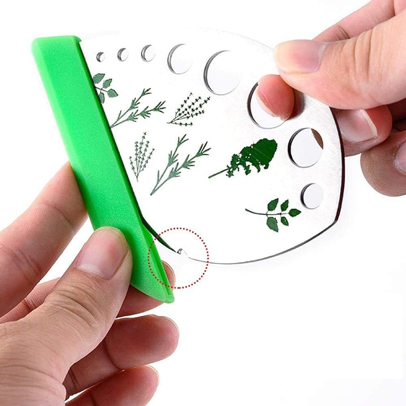 Stainless Steel Herb Stripper and Kale Leaf Remover Tool