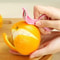 Stainless Steel Fruit Peeler And Orange Cutter For Apples Kiwi Potatoes 3