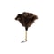 Natural Ostrich Feather Duster With Wooden Handle Anti Static Reusable Cleaning Tool 6