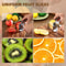 Multifunctional Stainless Steel Fruit & Vegetable Slicer Cutter