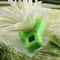 Premium Stainless Steel Scallion Slicer Green Onion Cutter Precision Vegetable Tool For Effortless 0