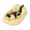 Plush Princess Pet Bed For Small Dogs Cats Washable Oval Sofa 6