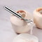 Stainless Steel Coconut Fruit Grater Multi Purpose Kitchen Tool 1