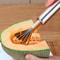 Stainless Steel Coconut Fruit Grater Multi Purpose Kitchen Tool 2