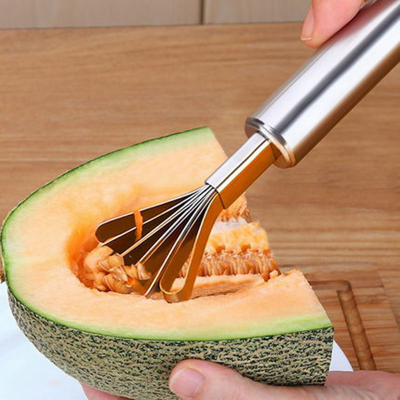 Stainless Steel Coconut Fruit Grater Multi Purpose Kitchen Tool 2