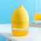 Multi Function Lemon Squeezer & Juice Sprayer for Kitchen Cooking