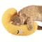 Cozy Cat Moon Pillow Soft Plush Half Donut Pet Pillow For Cats And Small Dogs 1