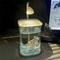 Mini Desktop Aquarium With LED Light For Betta Fish Kids 3