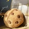 Plush Cartoon Cookie Cushion For Kids Room Decor 0