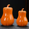 Premium Ceramic Pumpkin Jar with Lid Sealing Storage Canister for Kitchen & Tea