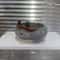 Cute Cartoon Animal Ceramic Ashtray & Desk Organizer Multifunctional Decor