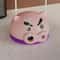 Cute Pig Mosquito Coil Holder Tray and Incense Burner for Home Patio Decor