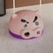 Cute Pig Mosquito Coil Holder Tray and Incense Burner for Home Patio Decor