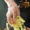 Premium Disposable Food Grade Gloves Kitchen Food Prep Restaurant Serving 2
