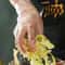 Transparent Disposable Gloves Kitchen Gloves For Cooking 0