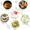 Dessert Cups with Lids Clear Square Plastic Dessert Boxes