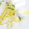 Lemon Paper Straws for Summer Parties, Baby Showers and Birthday Drinks