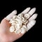Professional Disposable Finger Cots Protective Fingertip Protection Covers